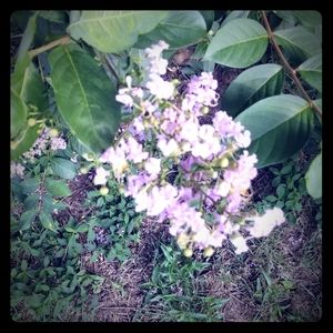 All offers considered!